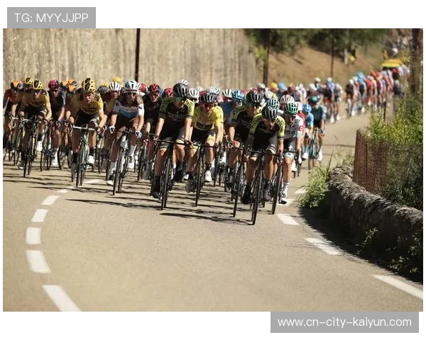 105环法自行车赛(2010环法自行车赛)sports